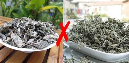 張家界茅巖莓茶與藤茶是同一種茶嗎，藤茶跟莓茶一不一樣？