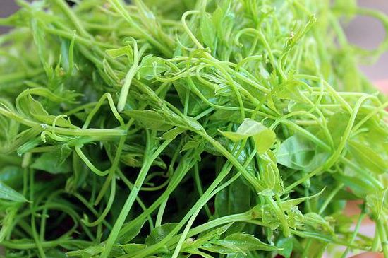 茅巖莓茶別名是什么，莓茶別名叫藤茶嗎？