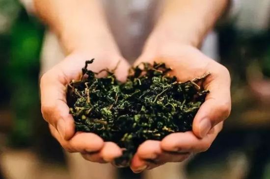 茶葉怎么炒制才香，怎樣炒茶葉更香？