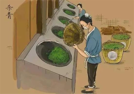 制茶八步驟，制茶工藝流程圖