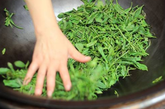 炒青綠茶與綠茶的區(qū)別，烘青和炒青哪個(gè)好喝？