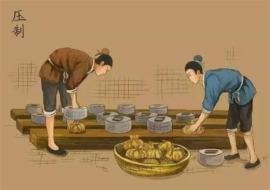制茶八步驟，制茶工藝流程圖