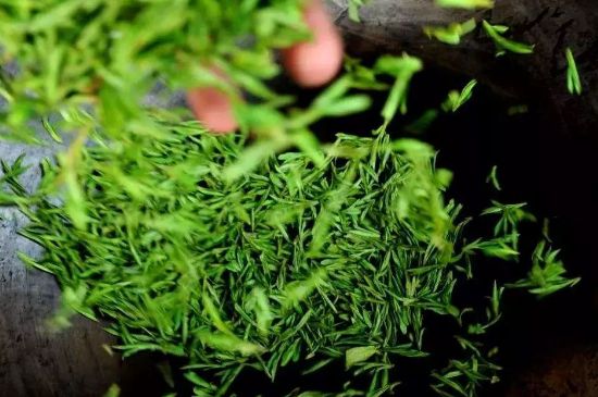 龍井茶炒茶葉怎么炒出好茶色，茶葉怎樣做出來最綠？
