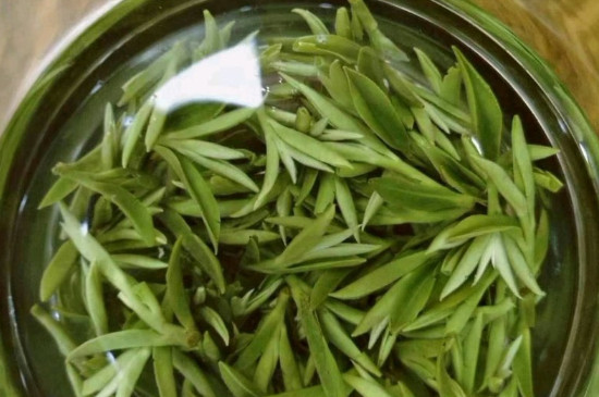 什么綠茶茶葉唇齒留香，哪個品種綠茶香氣好？