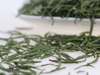 霍山黃芽算是好茶嗎，霍山黃芽屬于什么茶？