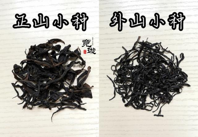 正山小種很細還很黑亮，正山小種越細越好嗎