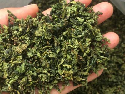 鐵觀音毛茶茶?？梢耘菟葐幔F觀音帶梗是不是好茶？